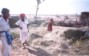 livelihood
